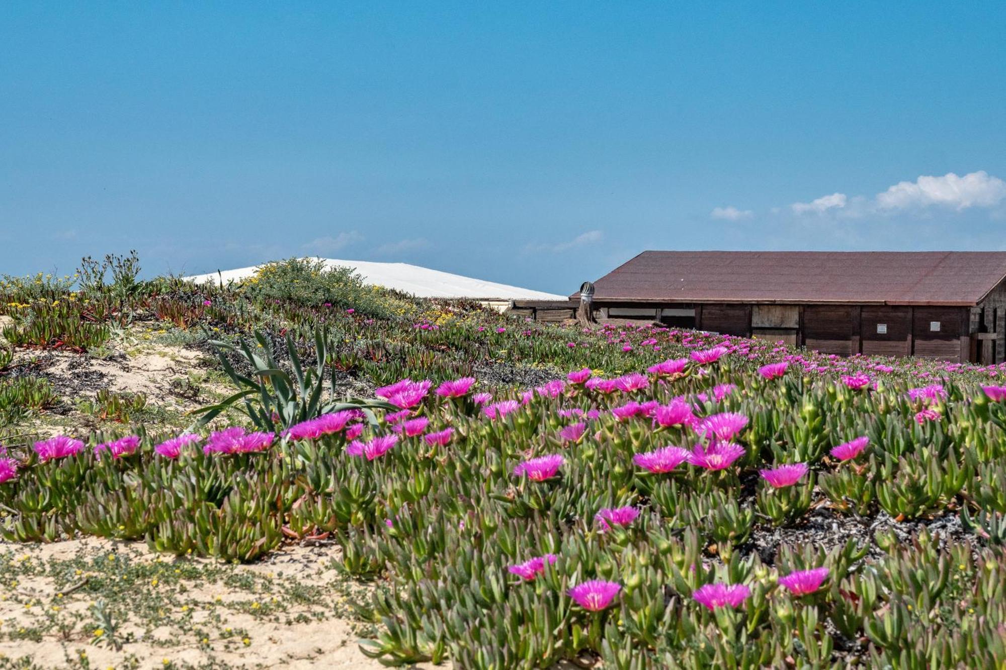 Precioso Chalet A Pie De Playa Punta Umbria Luaran gambar